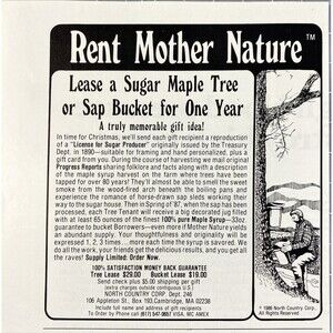 North Country "Rent Mother Nature" Lease a Maple Tree Vintage Print Ad 1986